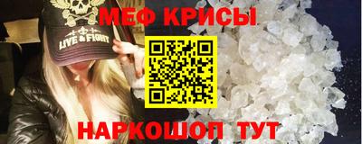 спайс Кингисепп