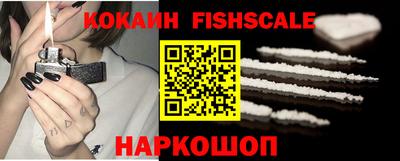 спайс Кингисепп