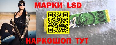 спайс Кингисепп