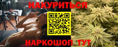 спайс Кингисепп