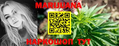 спайс Кингисепп