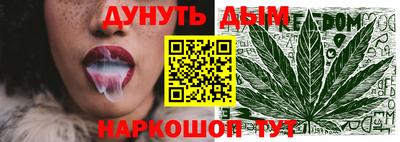 спайс Кингисепп