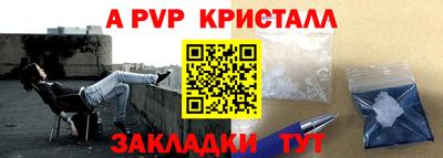 спайс Кингисепп