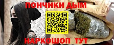 спайс Кингисепп