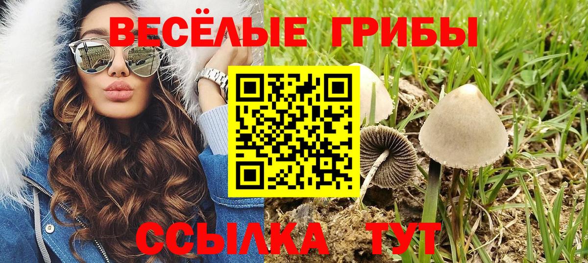 Галлюциногенные грибы прущие грибы  Галлюциногенные грибы ЛСД  Вход с VPN  Энгельс 