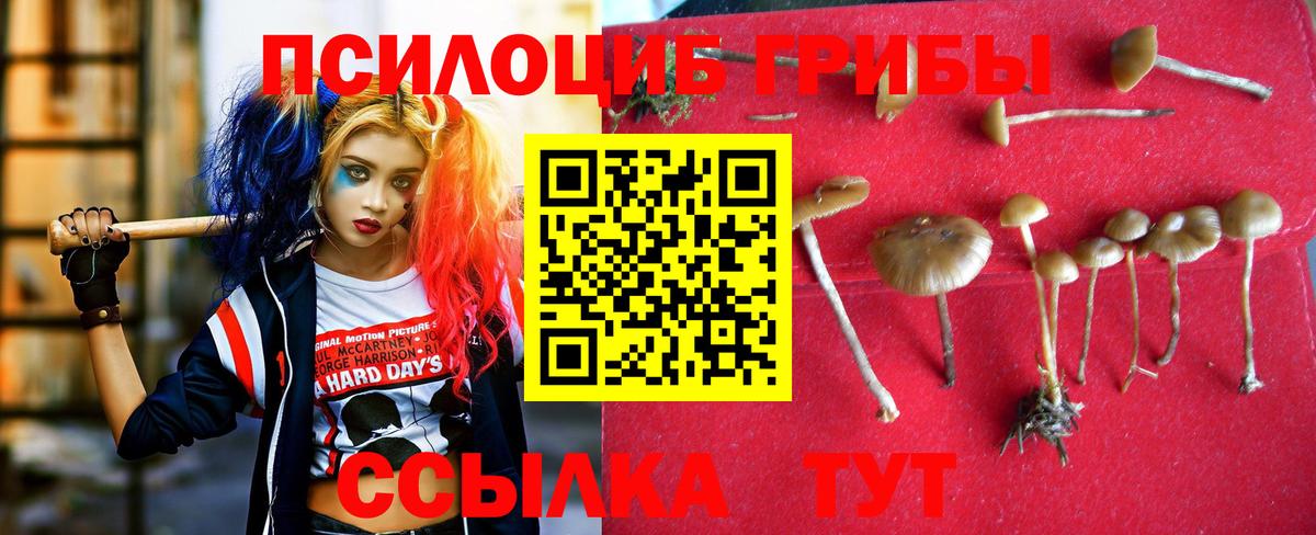 Галлюциногенные грибы ЛСД Энгельс